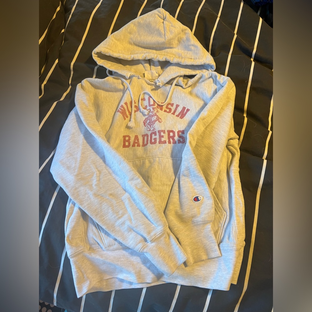 Champion Gray Wisconsin Badgers Men's Sweater